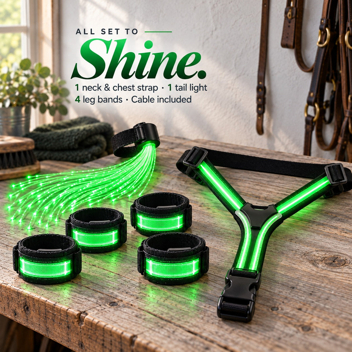 LED Horse Visibility Gear Set – Light Up Chest Harness, 4 Leg Bands & Tail Light for Night Riding