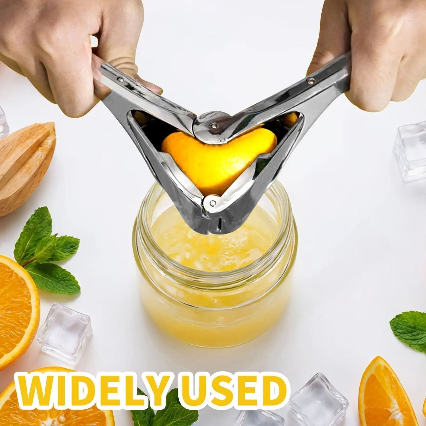 citrus-squeezer-stainless-steel-or-pp-5733