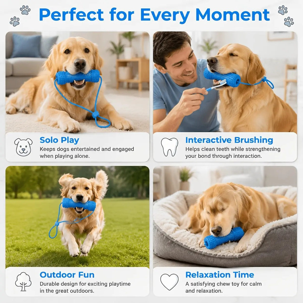 Adjustable neck strap dog tooth cleaning chew stick