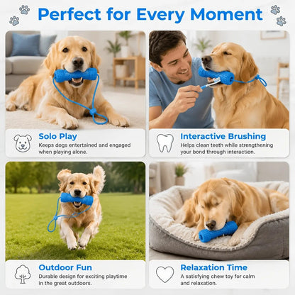 Adjustable neck strap dog tooth cleaning chew stick