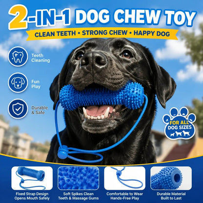 Adjustable neck strap dog tooth cleaning chew stick