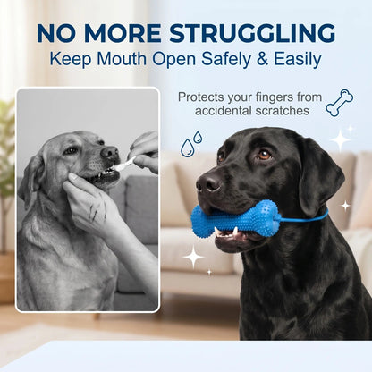 Adjustable neck strap dog tooth cleaning chew stick