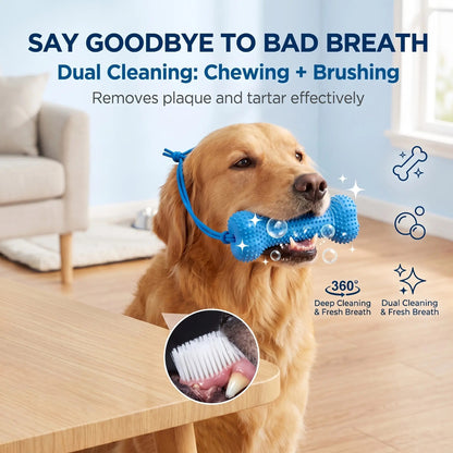 Adjustable neck strap dog tooth cleaning chew stick