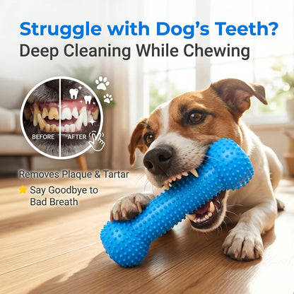 Adjustable neck strap dog tooth cleaning chew stick