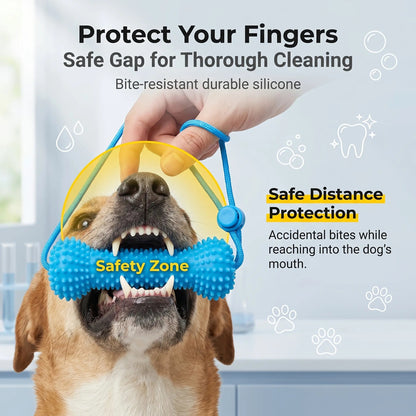 Adjustable neck strap dog tooth cleaning chew stick