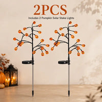 2 Pcs
