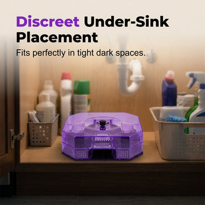 🌿Reusable Roach Trap | 100% Non-Toxic & Pet-Safe Catcher🎯🪳