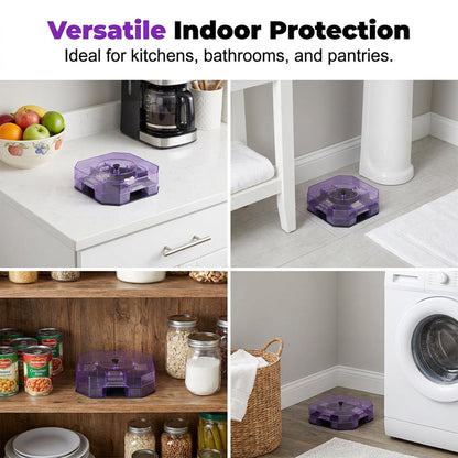 🌿Reusable Roach Trap | 100% Non-Toxic & Pet-Safe Catcher🎯🪳