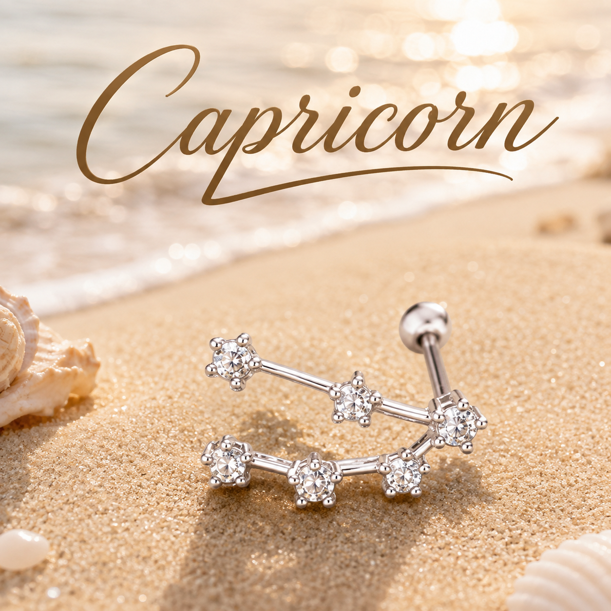 Capricorn ♑ (1 Pair)