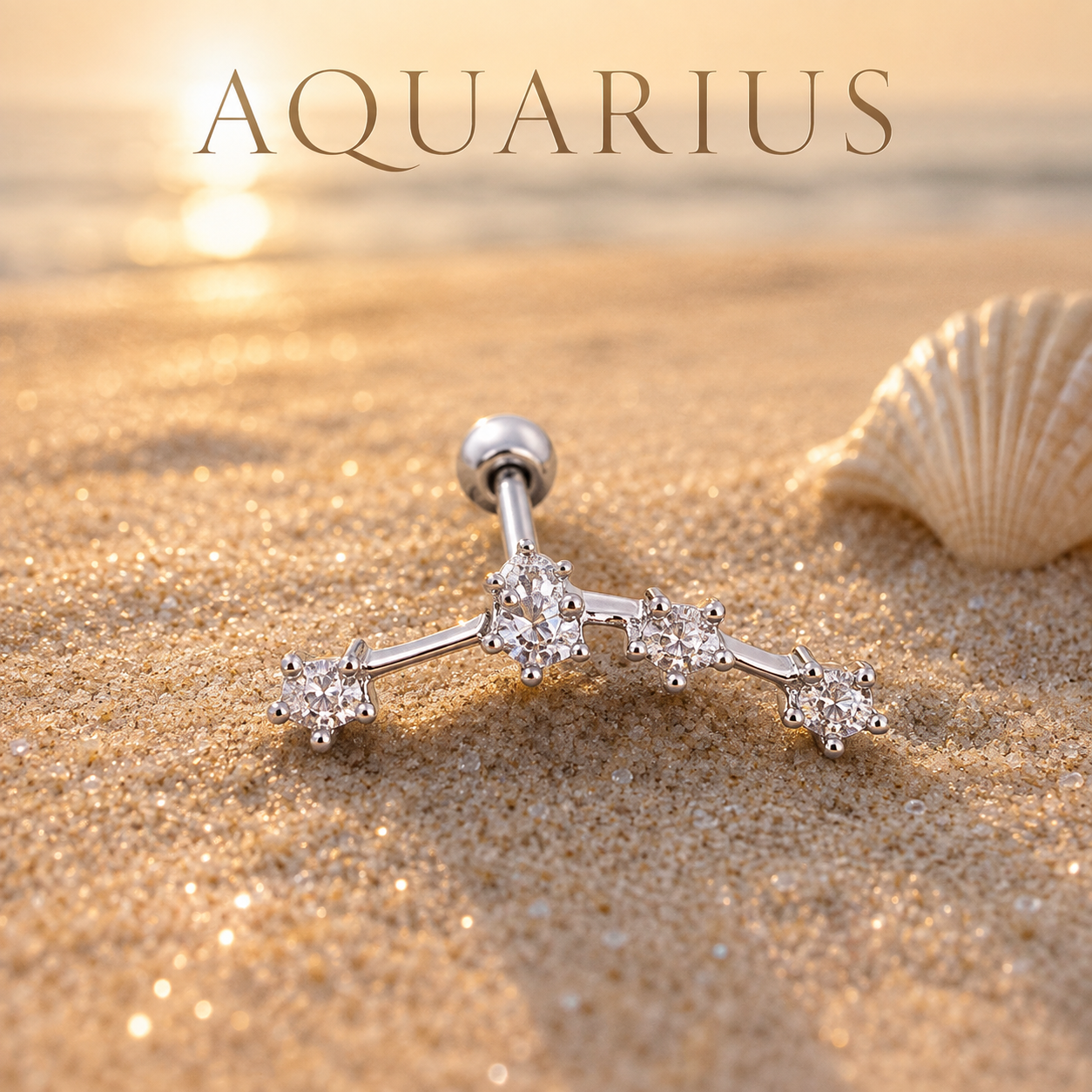 Aquarius ♒ (1 Pair)