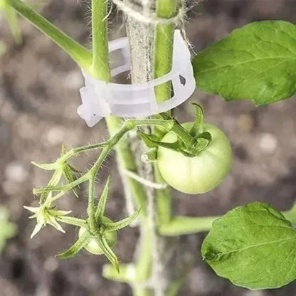 reusable-plant-support-clips-100-clips-6089