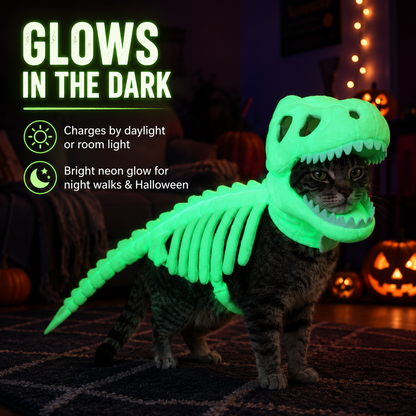 🦖 Glow-in-the-Dark Dino Skeleton Pet Costume