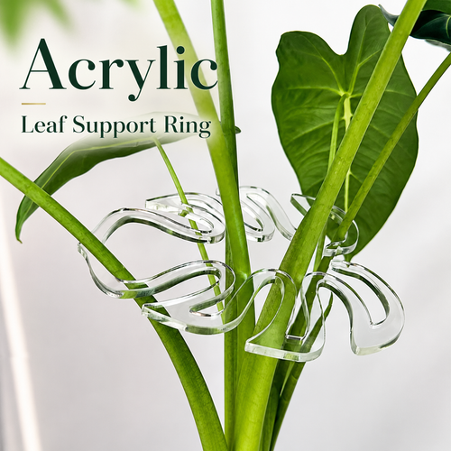 🏷️Invisible Clear Plant Support Ring Hooks  (8 / 12 / 20 Pack)