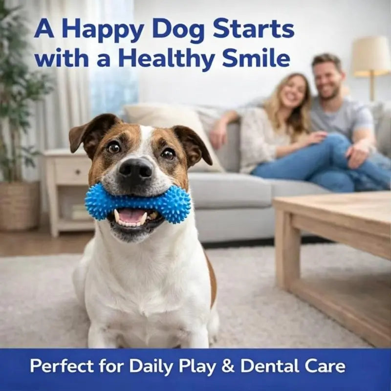 Durable Rubber Bone-Shaped Dog Chew Toy