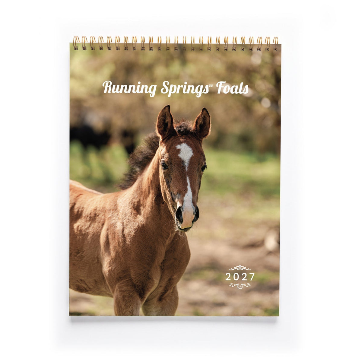 🐮 2027 Mini Farm Animal Calendar – Record adorable farm moments throughout the year