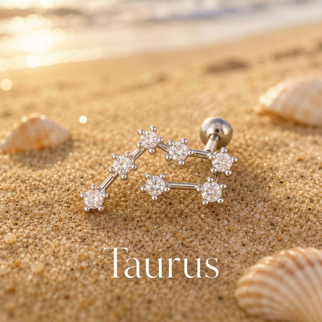Taurus ♉ (1 Pair)