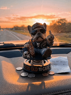 ⏰Hot Sale: Save 49%-Too Old To Care Dashhoard Bobblehead