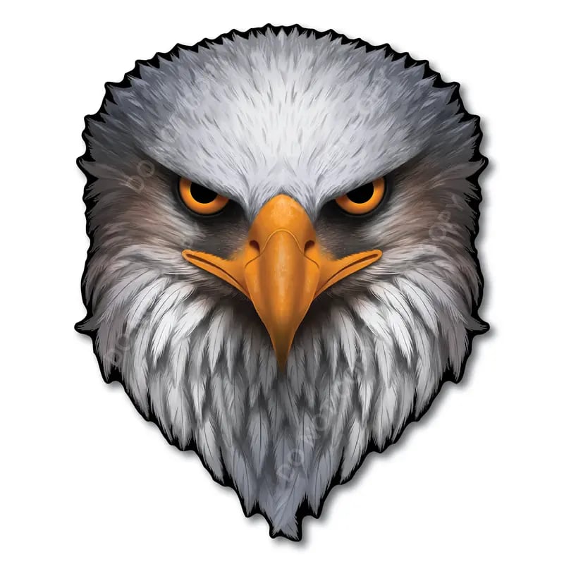 reflective-eagle-eyes-decal-bold-patriotic-1583