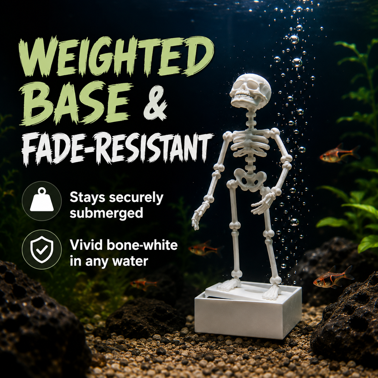 🌊 Fish-Safe Poseable Skeleton Decor 💀