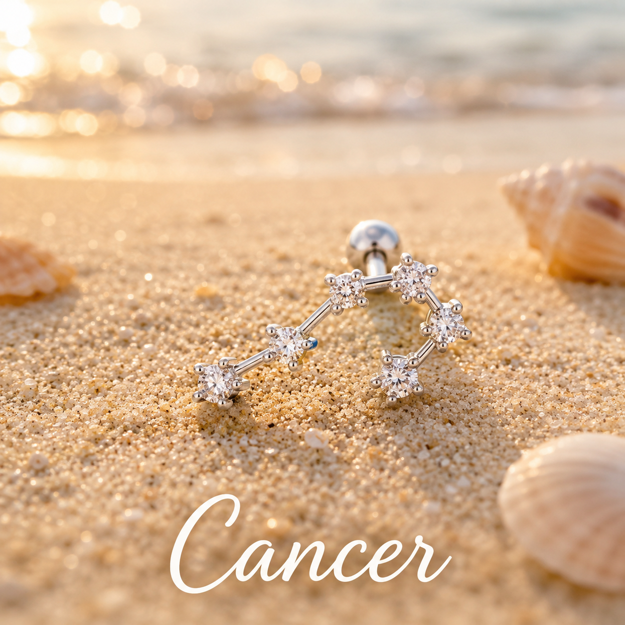 Cancer ♋ (1 Pair)