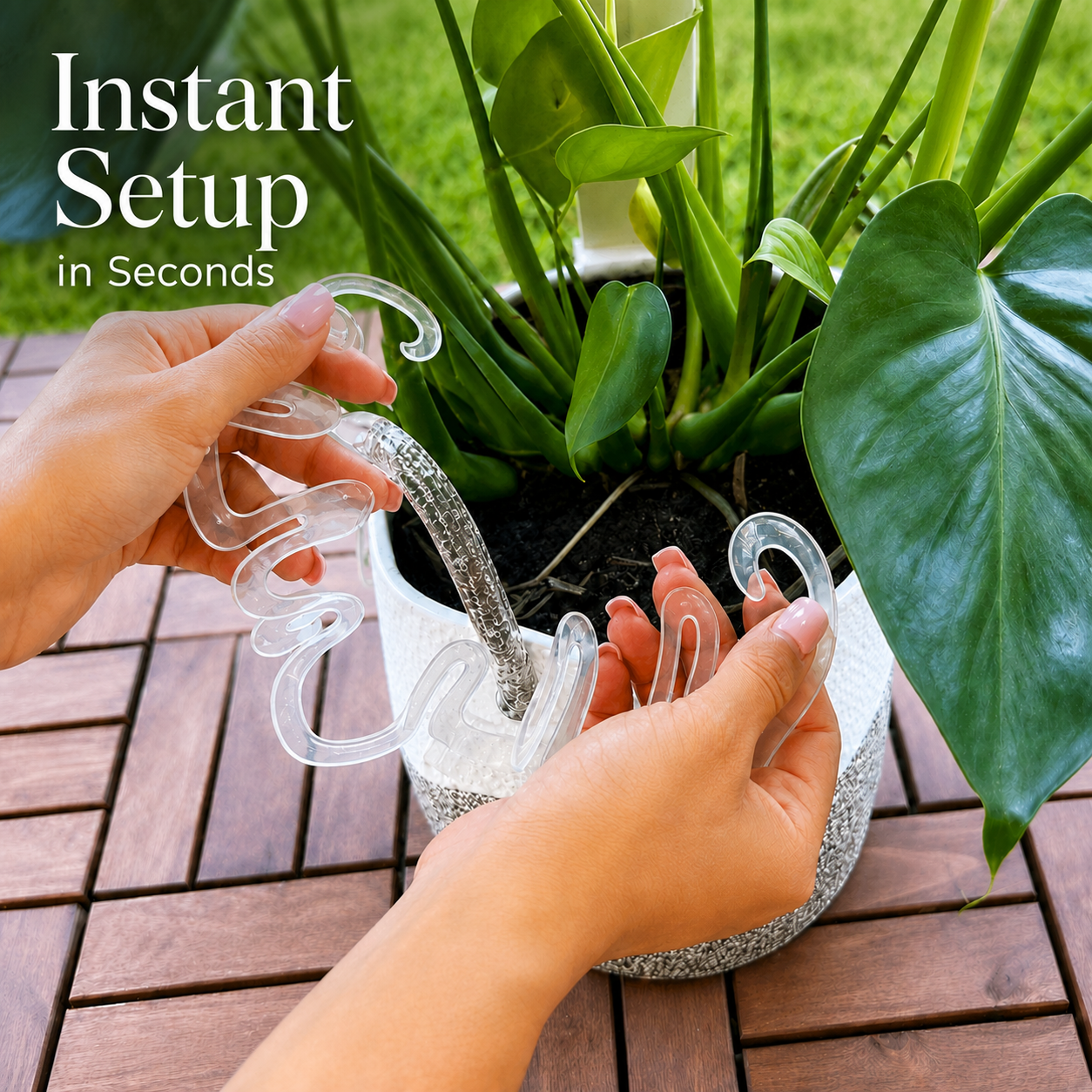 🏷️Invisible Clear Plant Support Ring Hooks  (8 / 12 / 20 Pack)