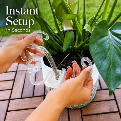 🏷️Invisible Clear Plant Support Ring Hooks  (8 / 12 / 20 Pack)