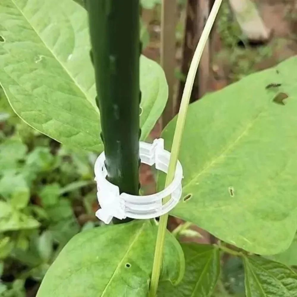 reusable-plant-support-clips-100-clips-6089