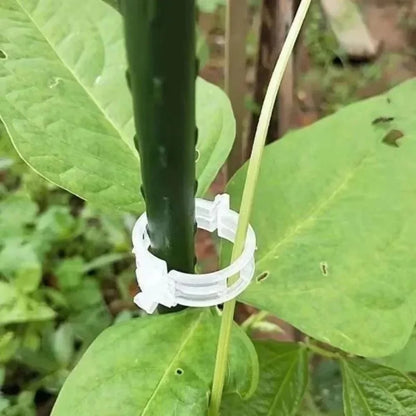 reusable-plant-support-clips-100-clips-6089