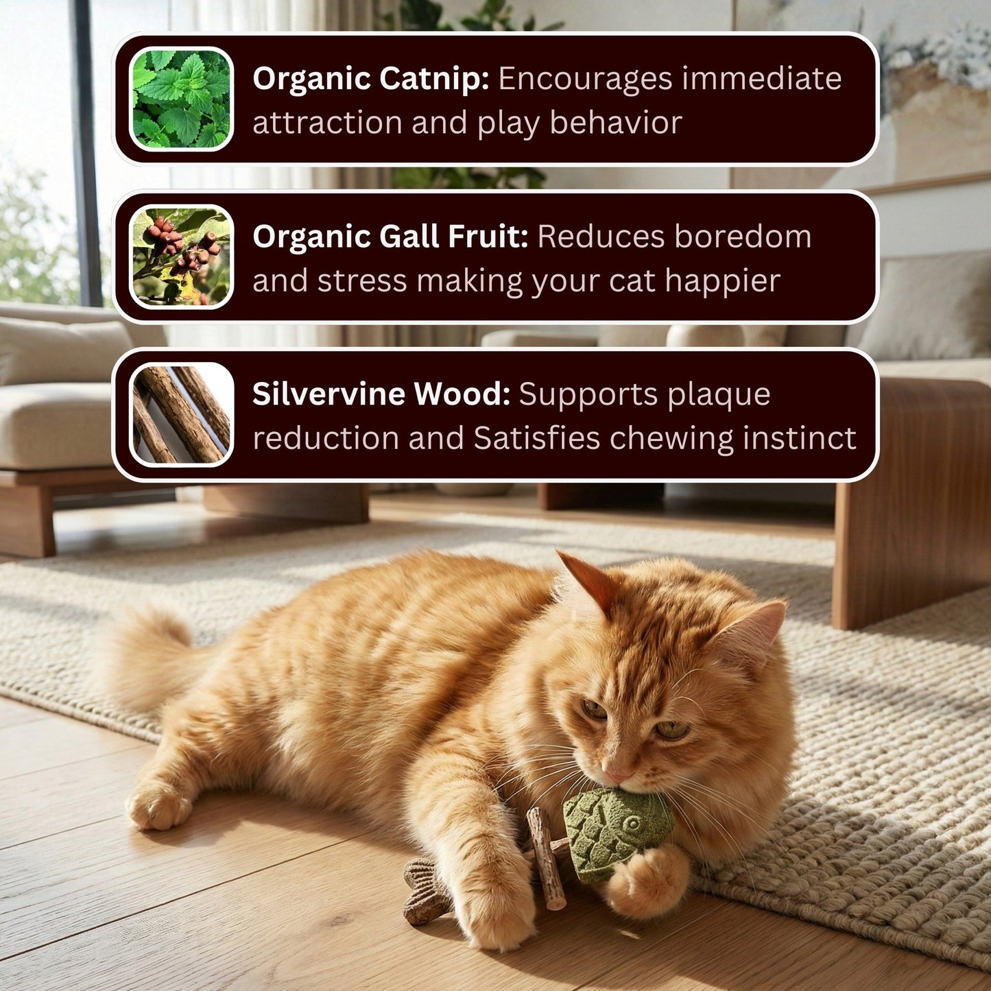 day-sale-50-off-catnip-silvervine-chew-2525
