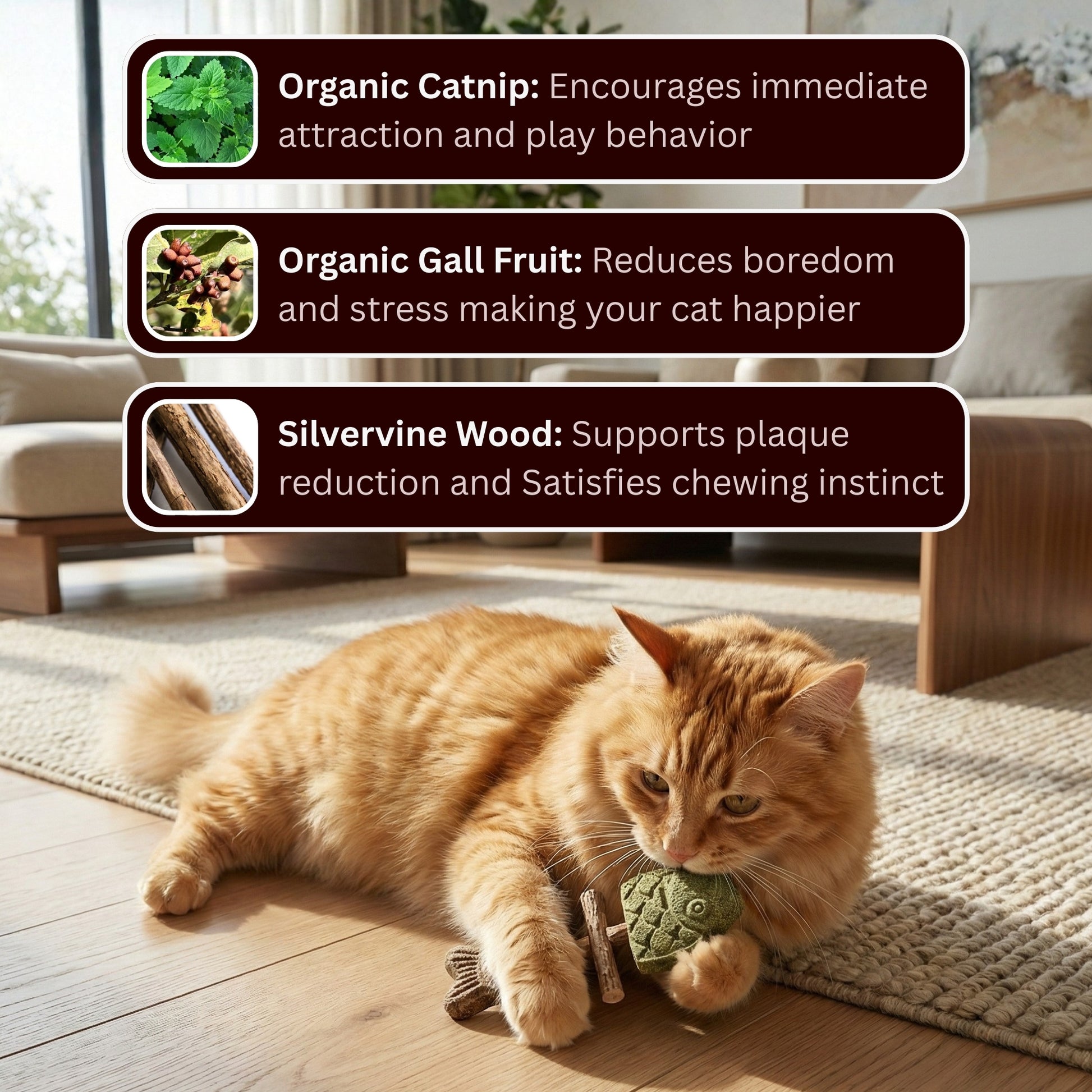 day-sale-50-off-catnip-silvervine-chew-2525