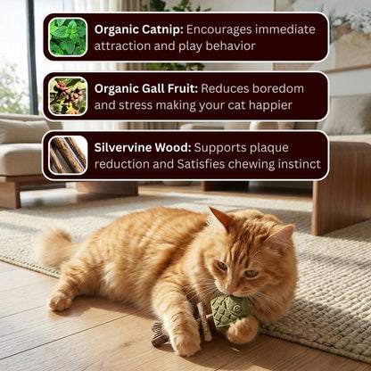 day-sale-50-off-catnip-silvervine-chew-2525