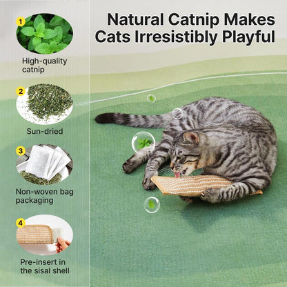 Natural Sisal Catnip Kicker Toy & Dental Pillow
