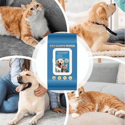 20pcs-deodorizing-pet-glove-wipes-7332