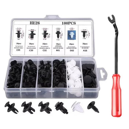 🔥100pcs Car Clip Set + FREE Removal Tool