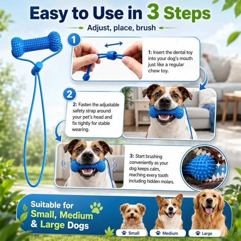 Durable Rubber Bone-Shaped Dog Chew Toy