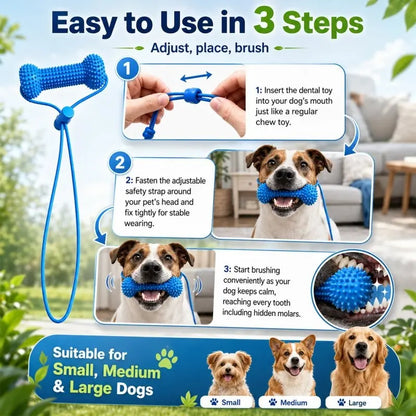 Durable Rubber Bone-Shaped Dog Chew Toy