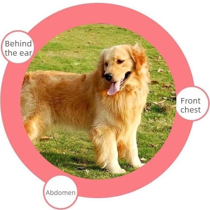 🐱🐶Universal Pet Detangling Comb✨