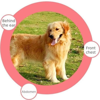 🐱🐶Universal Pet Detangling Comb✨