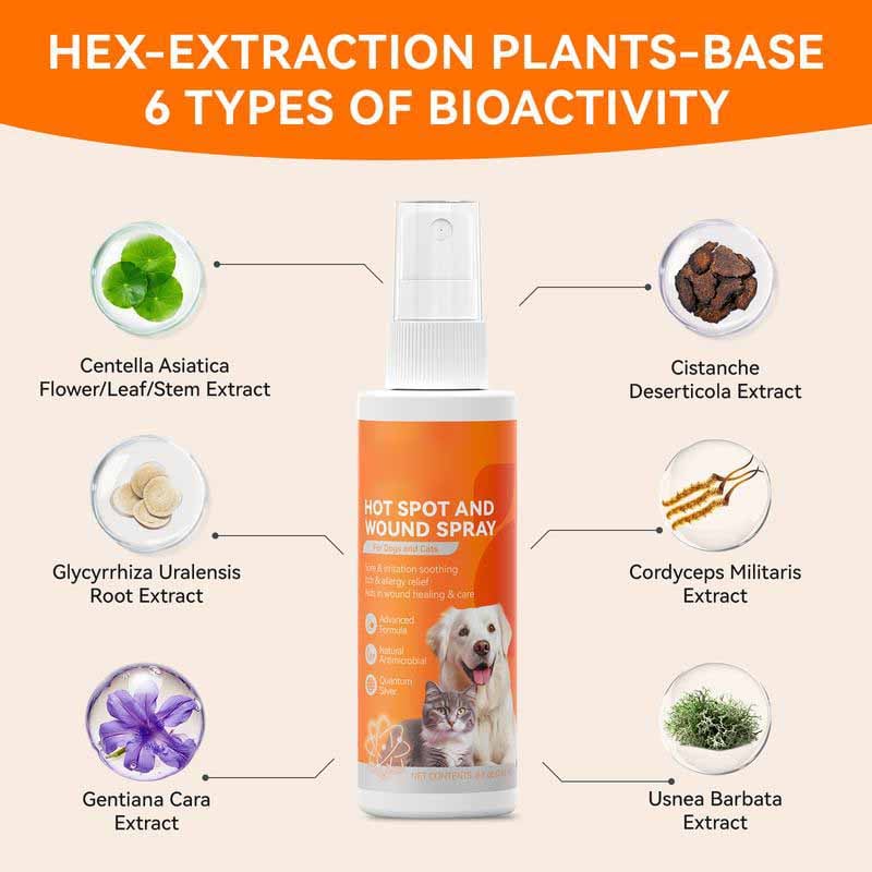 itch-relief-spray-vet-recommended-skin-soothing-quantum-silver-spray-for-dogs-cats-1314