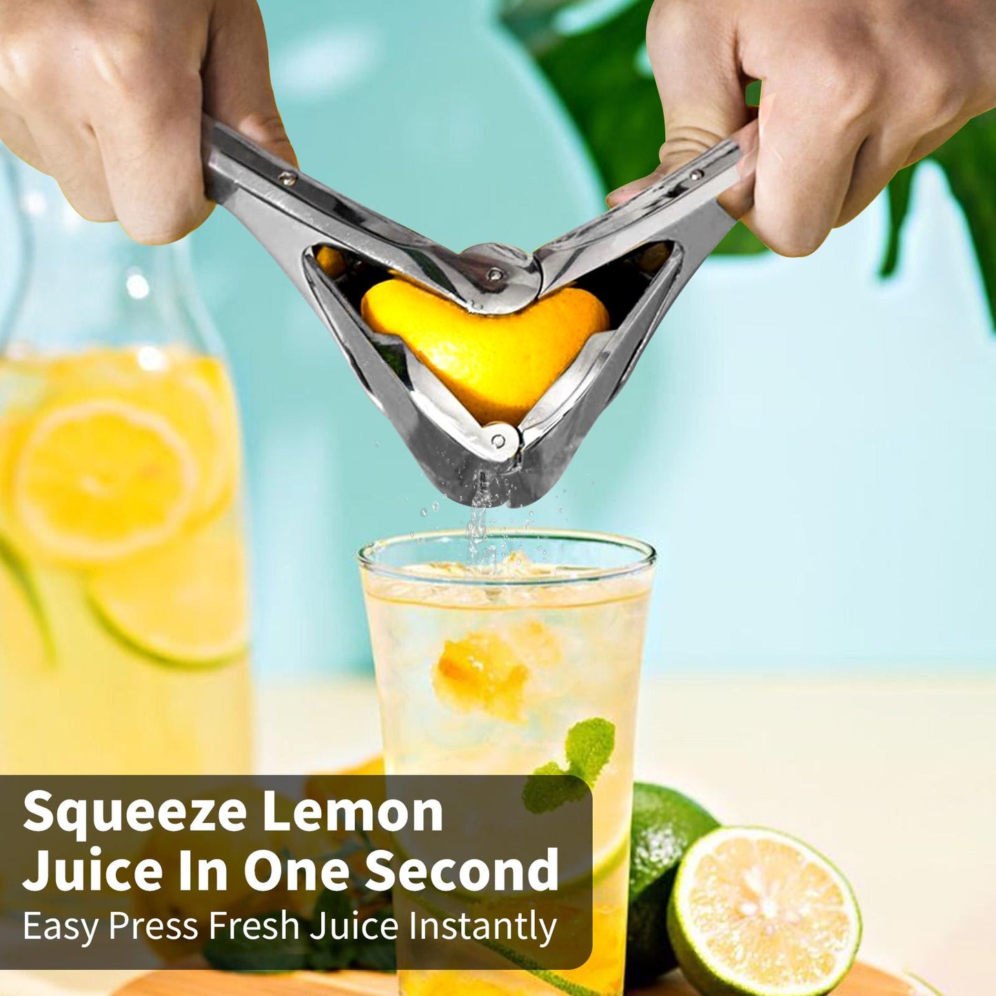 citrus-squeezer-stainless-steel-or-pp-5733