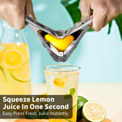 citrus-squeezer-stainless-steel-or-pp-5733