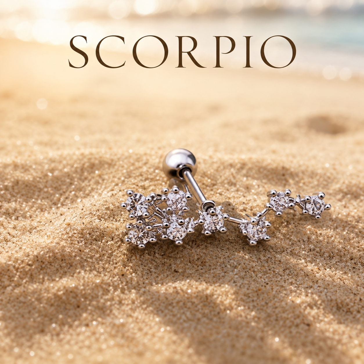 Scorpio ♏  (1 Pair)