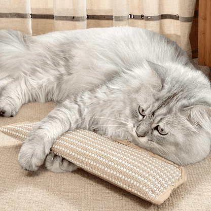 Natural Sisal Catnip Kicker Toy & Dental Pillow