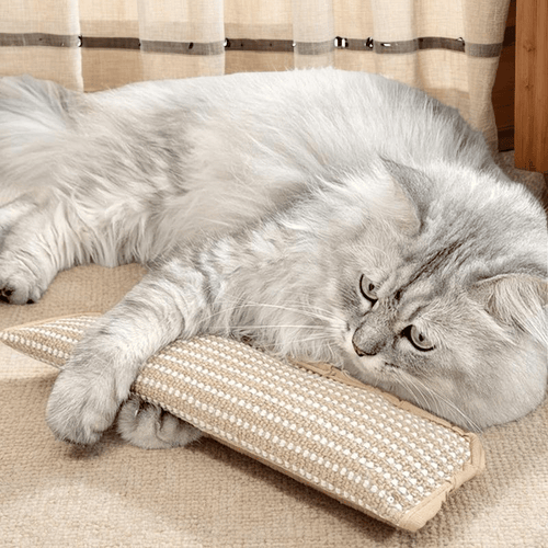 Natural Sisal Catnip Kicker Toy & Dental Pillow