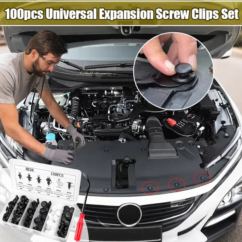 🔥100pcs Car Clip Set + FREE Removal Tool