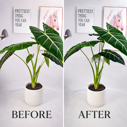 🏷️Invisible Clear Plant Support Ring Hooks  (8 / 12 / 20 Pack)