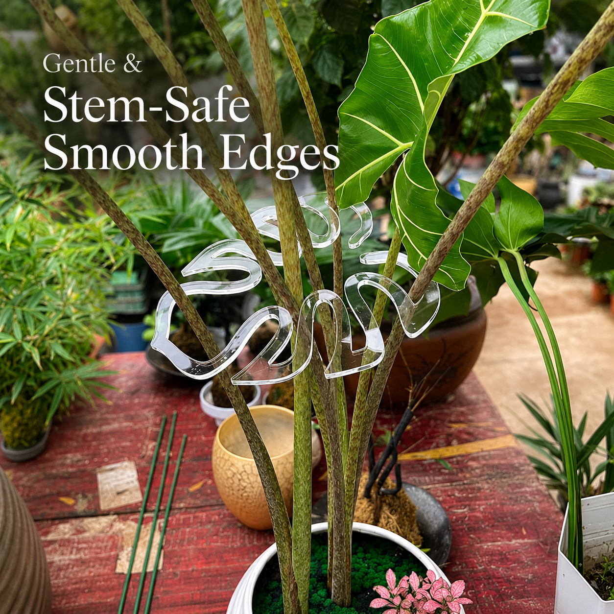 🏷️Invisible Clear Plant Support Ring Hooks  (8 / 12 / 20 Pack)
