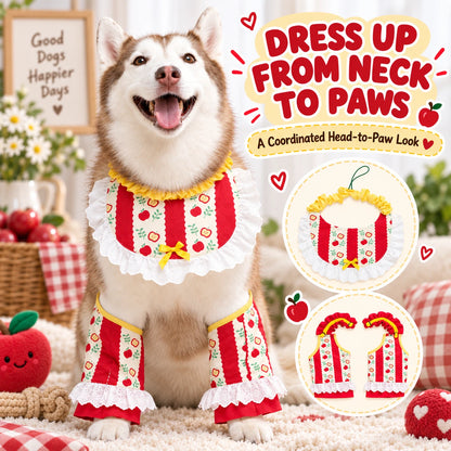 Christmas Apple Dog Costume & Holiday Photo Outfit