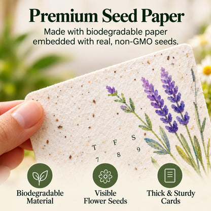 2027 Plantable Seed Calendar – A Calendar That Blooms After You Use It 🌱