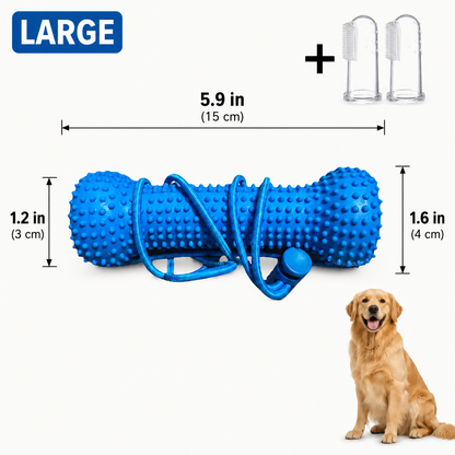 Adjustable neck strap dog tooth cleaning chew stick